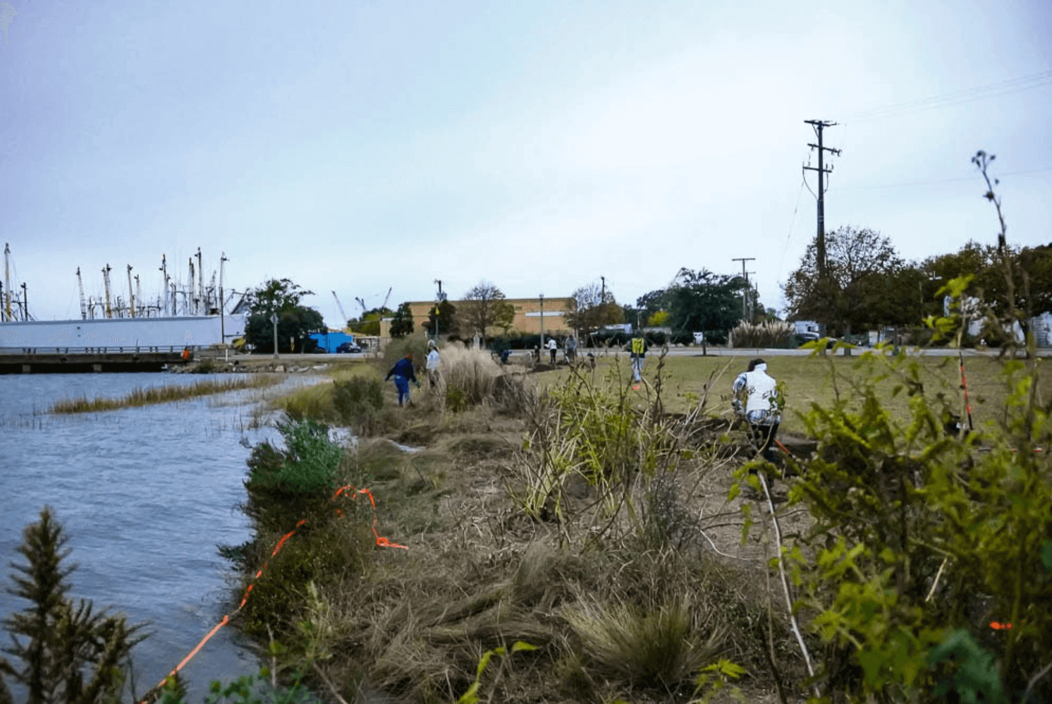 volunteers at phoebus waterfront park