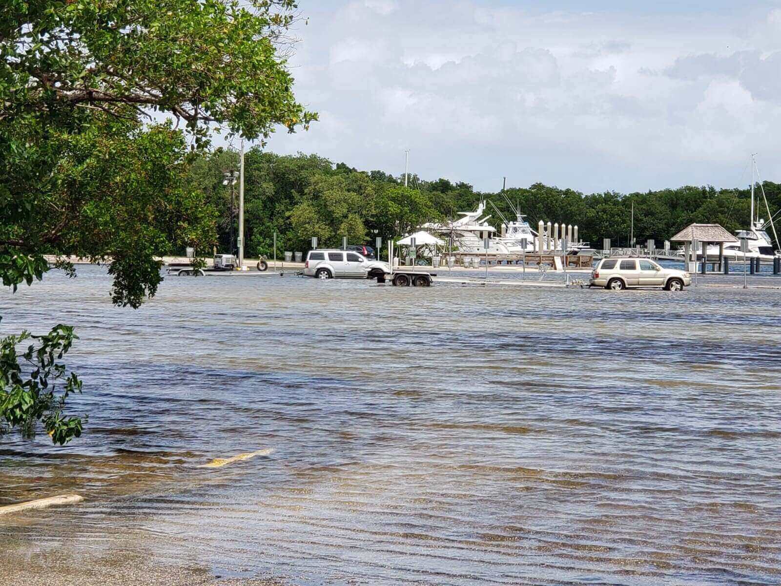 King tides
