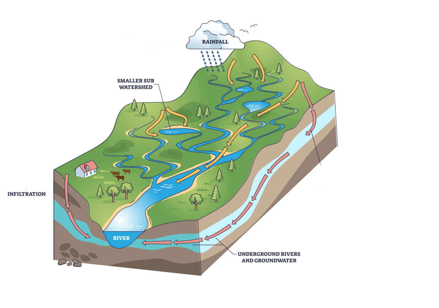 visual of watershed, with rivers and streams.