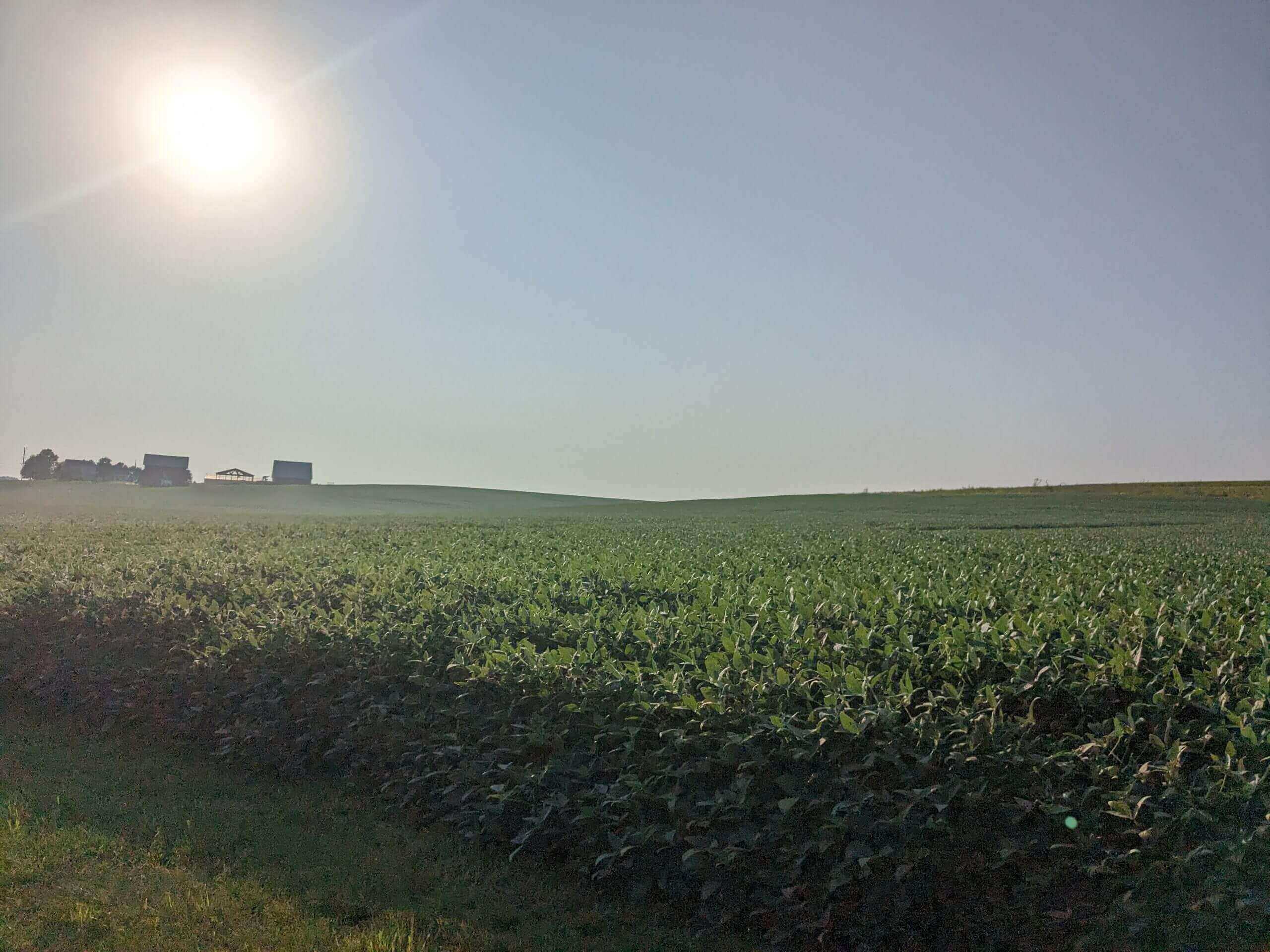 farmland with sun in background